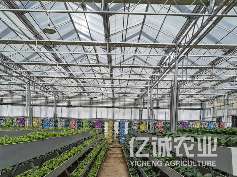 一畝溫室大棚造價多少錢？