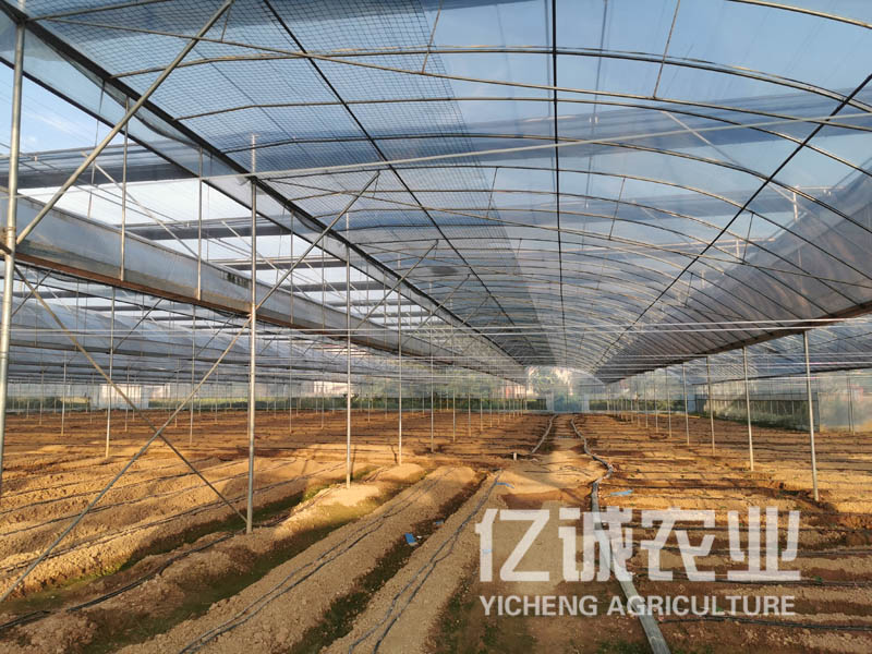 建溫室大棚 建溫室大棚
