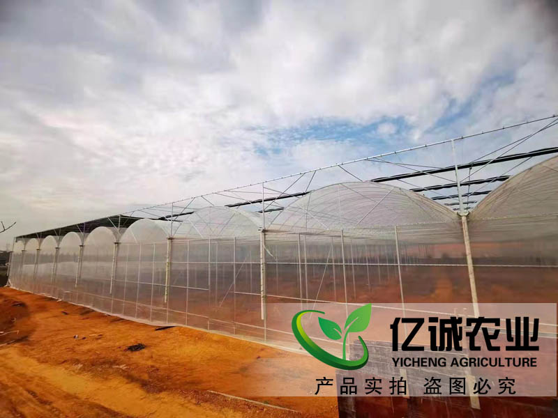 連棟薄膜大棚 連棟薄膜大棚