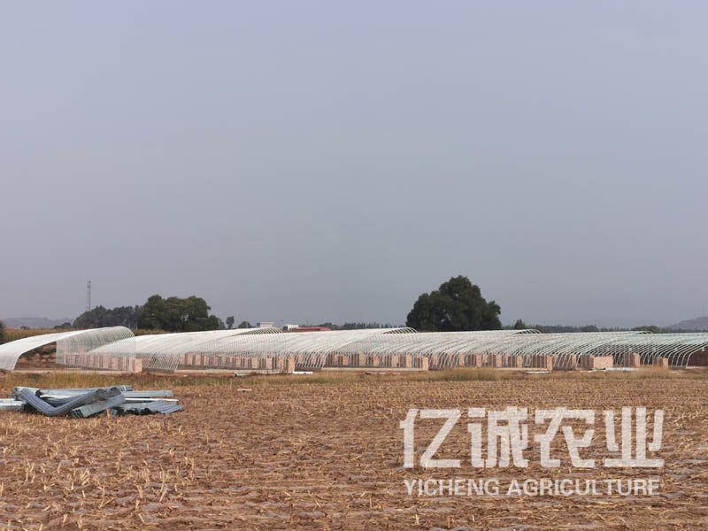 溫室大棚建設 溫室大棚建設