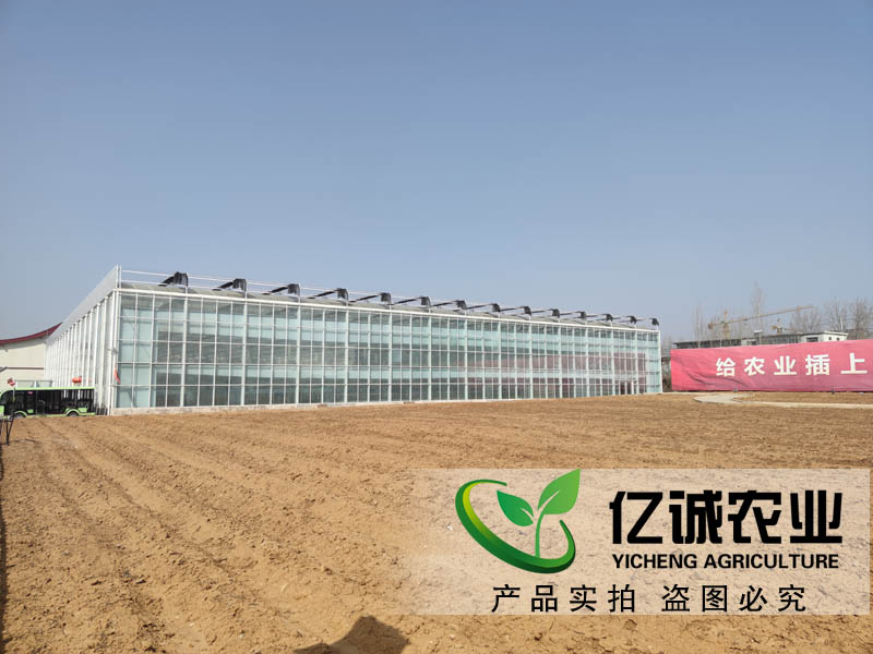 連棟溫室大棚 連棟溫室大棚