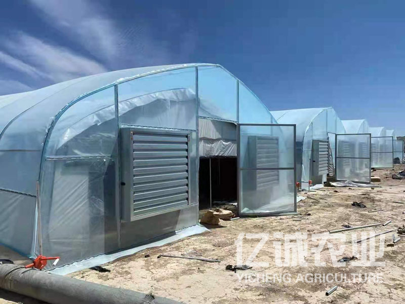 溫室大棚出口 溫室大棚出口