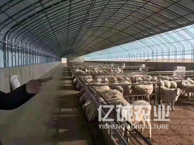 養(yǎng)殖溫室大棚