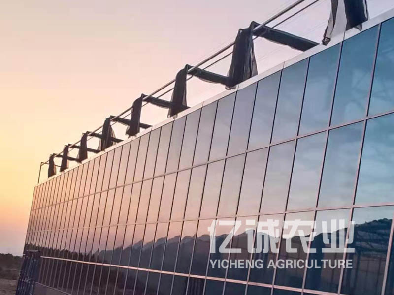 陽(yáng)光板溫室