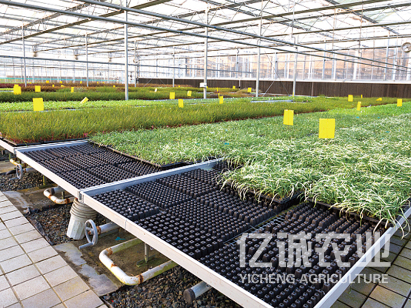 智慧農業公司大棚建造