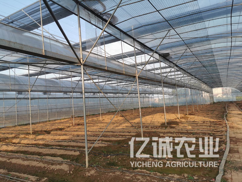 智能陽(yáng)光板連棟溫室