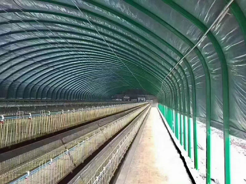 橢圓管養(yǎng)殖大棚