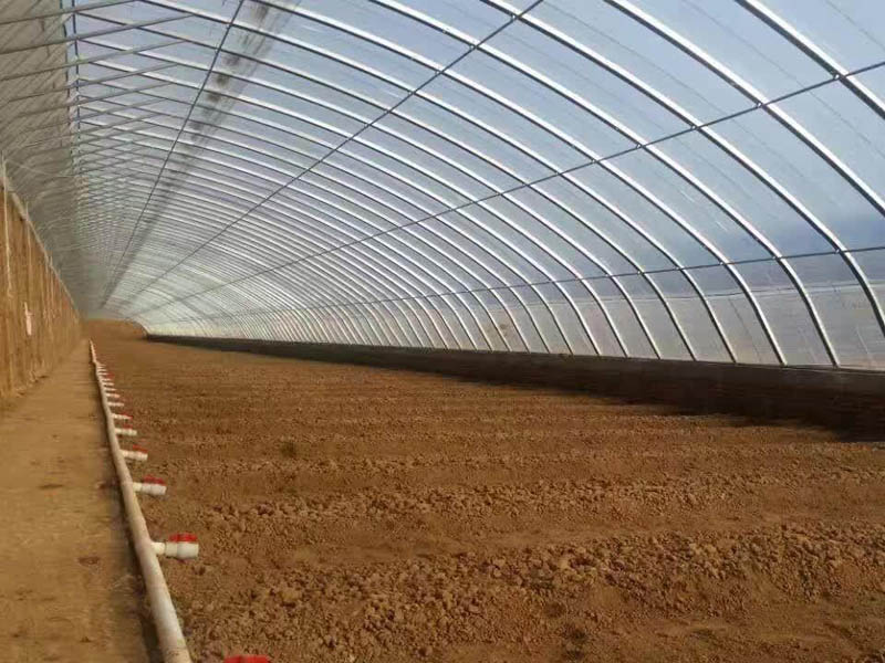 薄膜連棟溫室大棚造價