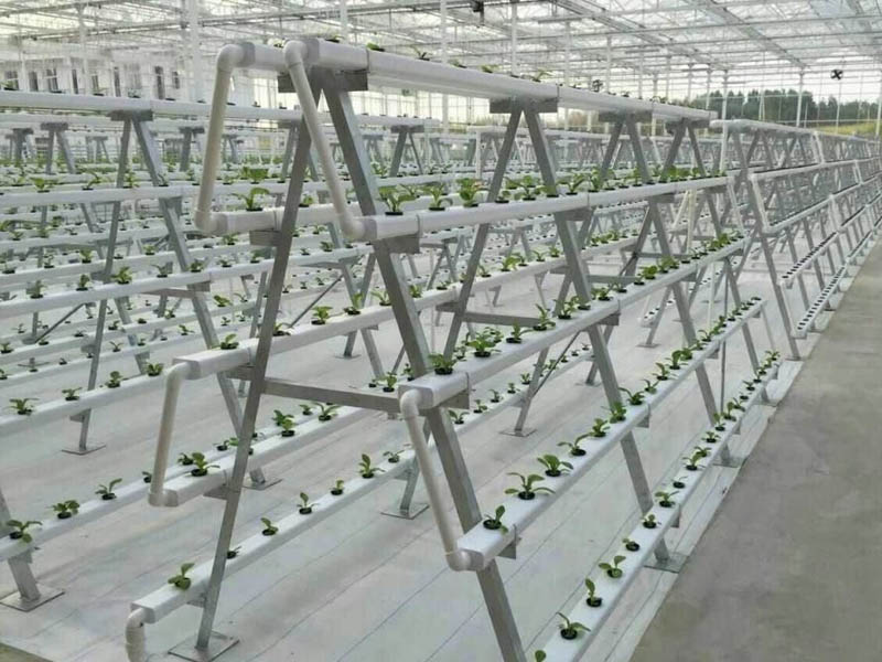 立體無(wú)土栽培溫室大棚建設(shè)