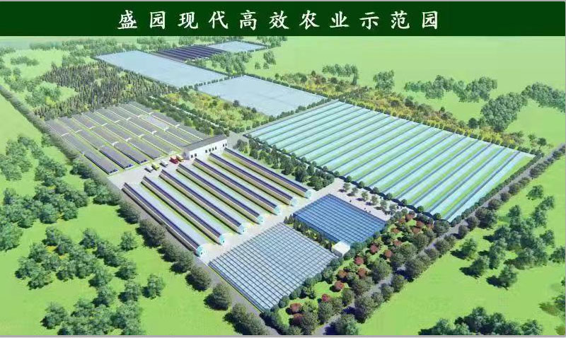 園區運營 園區運營